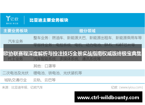 欧协联赛程深度解析与投注技巧全景实战指南权威版终极宝典集